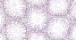 PCNA Mouse mAb
